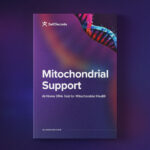 Mitochondrial Support