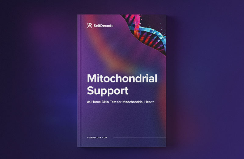 Mitochondrial Support