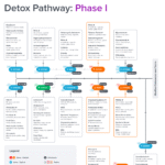 Detox Pathway