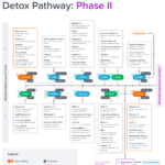 Detox Pathway